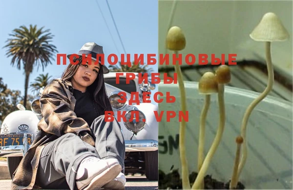 тгк Балахна