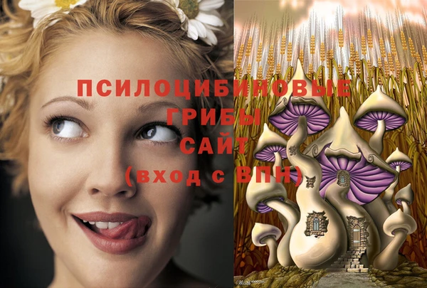 jwh Арсеньев