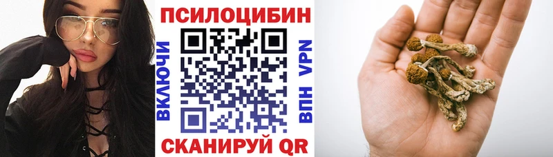 Галлюциногенные грибы Cubensis Обоянь