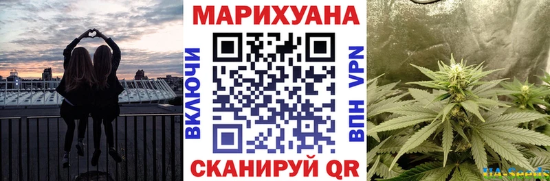 кракен зеркало  Обоянь  Марихуана сатива  как найти  